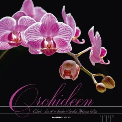 Zitate Spruche Orchidee Leben Zitate