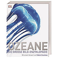 Ozeane Ozeane