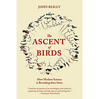 Pelagic Monographs: The Ascent of Birds Pelagic Monographs: The Ascent of Birds