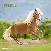 Pferde / Horses 2020 Pferde / Horses 2020