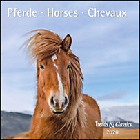 Pferde / Horses / Chevaux 2020 Pferde / Horses / Chevaux 2020