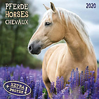 Pferde - Horses - Chevaux 2020 Pferde - Horses - Chevaux 2020