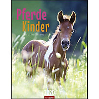 Pferdekinder 2020 Pferdekinder 2020