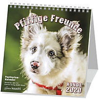 Pfiffige Freunde - Hunde 2020 Pfiffige Freunde - Hunde 2020