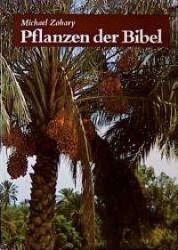 Pflanzen der Bibel Buch von Michael Zohary versandkostenfrei Weltbild.de