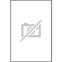 Philosophical Elements of a Theory of Society Philosophical Elements of a Theory of Society