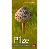 Pilze Pilze