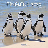 Pinguine 2020 Pinguine 2020
