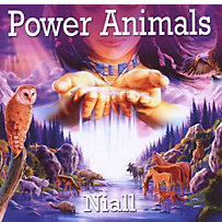 Power Animals Power Animals