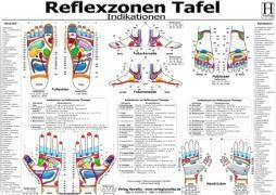 Reflexzonen Indikationen Tafel Buch Bei Weltbild Ch Bestellen