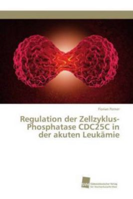 Regulation der Zellzyklus-Phosphatase CDC25C in der akuten Leukämie - Florian Perner | 