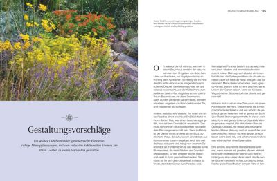 Robuste Schonheiten Fur Den Garten Buch Versandkostenfrei Bei