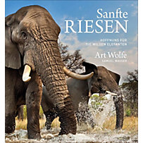 Sanfte Riesen Sanfte Riesen