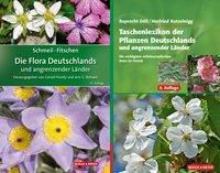 Schmeil-Fitschen - Die Flora Deutschlands und angrenzender Länder / Taschenlexikon der Pflanzen Deutschlands und angrenz