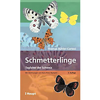 Schmetterlinge Schmetterlinge