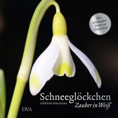 Schneeglöckchen - Günter Waldorf | 