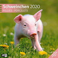 Schweinchen 2020 Schweinchen 2020