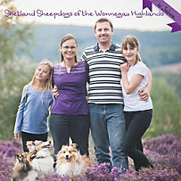 Shetland Sheepdogs of the Wonnegau Highlands Shetland Sheepdogs of the Wonnegau Highlands