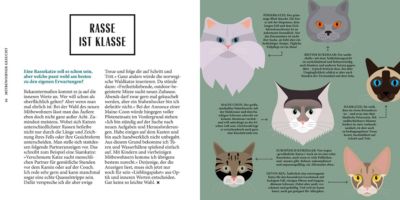 So Geht Katze Buch Von Alexander Zimmermann Versandkostenfrei