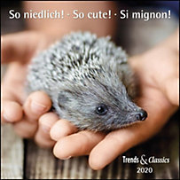 So niedlich! / So cute! / Si Mignon! 2020 So niedlich! / So cute! / Si Mignon! 2020