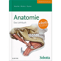 Sobotta Anatomie Sobotta Anatomie