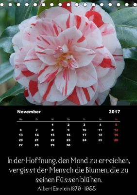 Sprüche Und Zitate Berühmter Personen über Blumen Und Natur