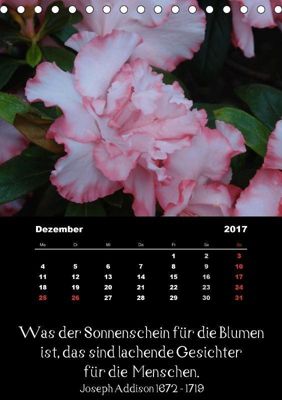 Sprüche Und Zitate Berühmter Personen über Blumen Und Natur