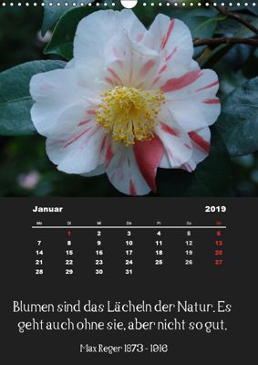 Sprüche Und Zitate Berühmter Personen über Blumen Und Natur