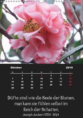 Sprüche Und Zitate Berühmter Personen über Blumen Und Natur