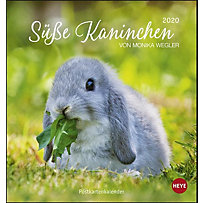 Süße Kaninchen Postkartenkalender 2020 Süße Kaninchen Postkartenkalender 2020