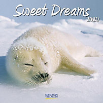Sweet Dreams 2020 Sweet Dreams 2020