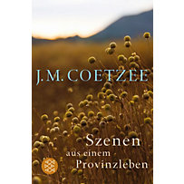 Szenen aus einem Provinzleben Szenen aus einem Provinzleben