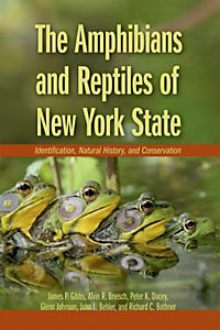 70-516 ebook pdf
