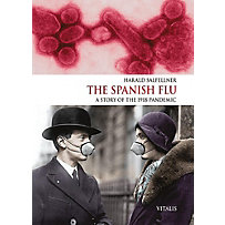 The Spanish Flu The Spanish Flu