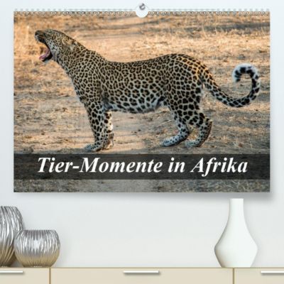 Tier Momente In Afrika Premium Kalender 2020 Din A2 Quer