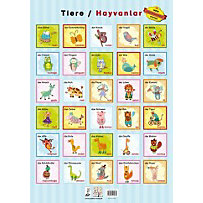 Tiere / Hayvanlar, Poster Tiere / Hayvanlar, Poster