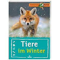 Tiere im Winter Tiere im Winter