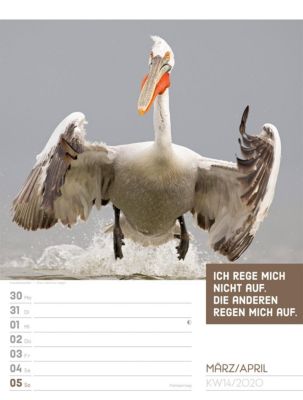 Tierisch Freche Sprüche Wochenplaner 2020 Kalender