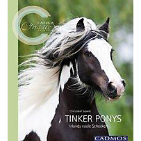 Tinker Ponys Tinker Ponys