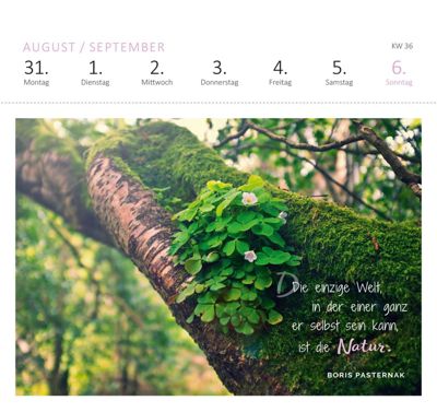 Download Zitate natur wald Desktop Wallpaper