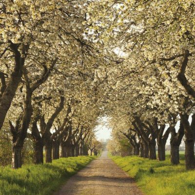 Traumwege 2018 Kalender Jetzt Günstig Bei Weltbildde - 