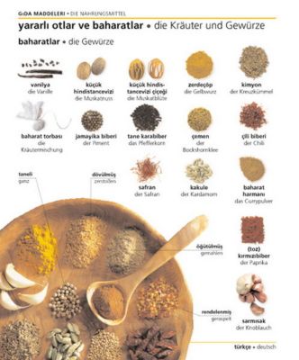 Visuelles Wörterbuch Türkisch-Deutsch Buch - Weltbild.ch