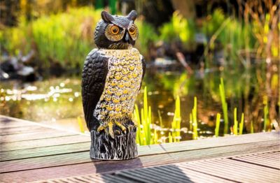 Vogelschreck Eule jetzt bei Weltbild.ch bestellen