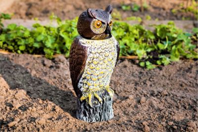 Vogelschreck Eule jetzt bei Weltbild.ch bestellen