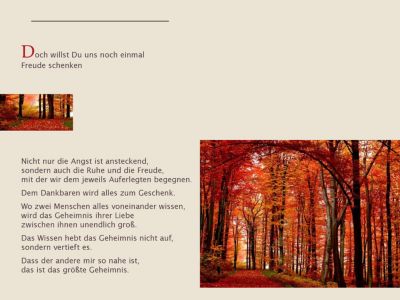 Von Guten Machten Wunderbar Geborgen Plus Audio Cd Buch