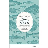 Was Fische wissen Was Fische wissen