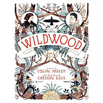 Wildwood Wildwood