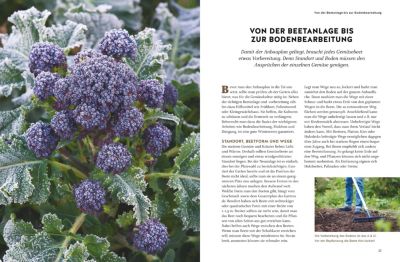 Wintergemuse Anbauen Buch Von Burkhard Bohne Versandkostenfrei