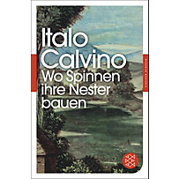 Wo Spinnen ihre Nester bauen Wo Spinnen ihre Nester bauen
