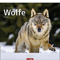 Wölfe 2020 Wölfe 2020